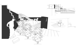 Agriculture as Public space