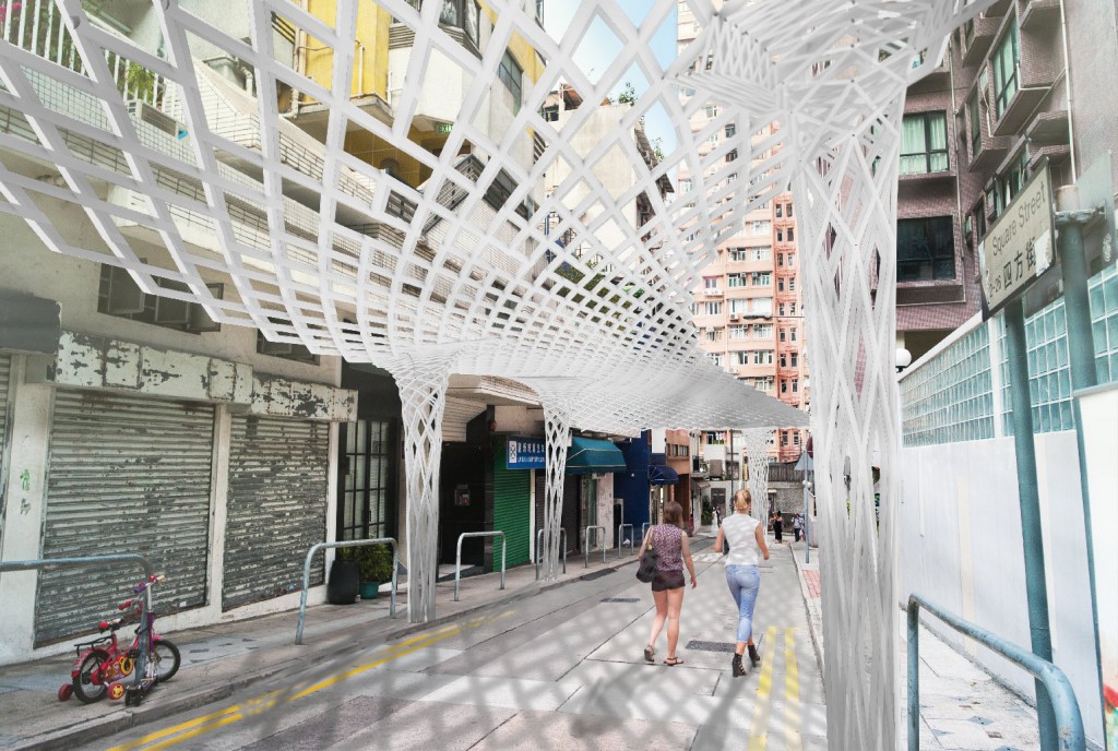 Daytime Canopy