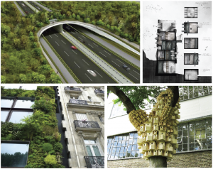 Examples of ecological project