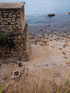 Exif_JPEG_PICTURE