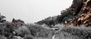 IMG_8708 (2)