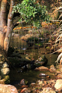 T3_16x24in_1_low res