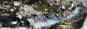 T3_8x24in_1