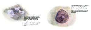 T4_8x24_2