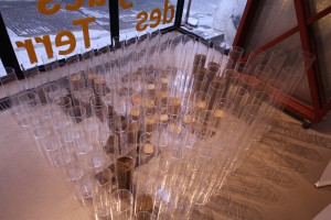 IMG_9415_Soil