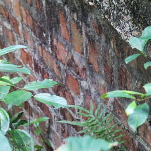 Bricks (Bowen)
