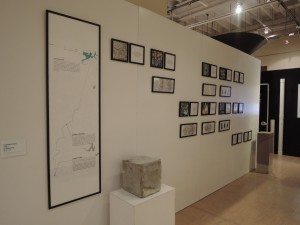 DSCN8464