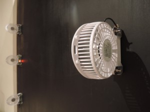 DSCN8483