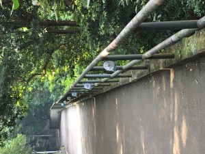 IMG_0157