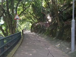 IMG_6188